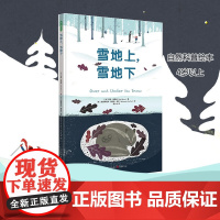 雪地上 雪地下 3-6岁 凯特·梅斯纳 著 唤醒孩子对生命的尊重和热爱 儿童绘本