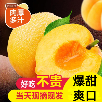 纯甜砀山锦绣黄金蜜桃爆甜黄桃净重3斤桃子新鲜当季蜜桃 爆甜多汁 桃气香浓 送礼公司福利采购