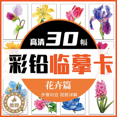 [醉染正版]彩铅临摹卡花卉篇2022一线美誉步骤对应美术绘画卡片兴趣高清原创