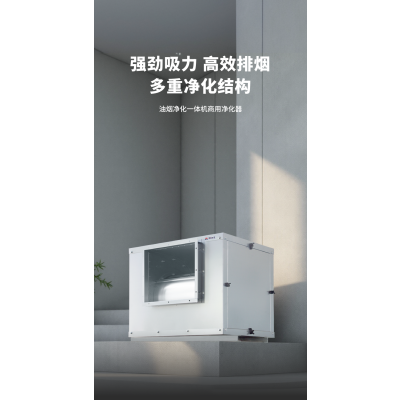 商用排油烟外转子风柜 315L