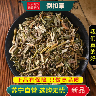 甄选倒扣草100克干货正品别名牛舌大黄倒钩草牛膝头煮水泡茶新货无硫