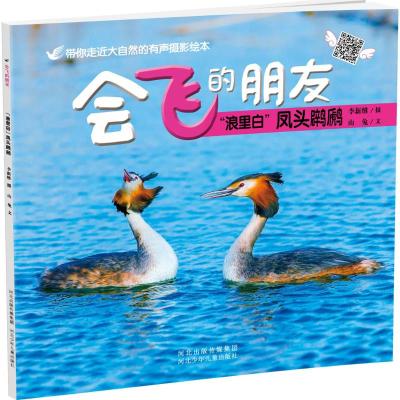 “浪里白”凤头