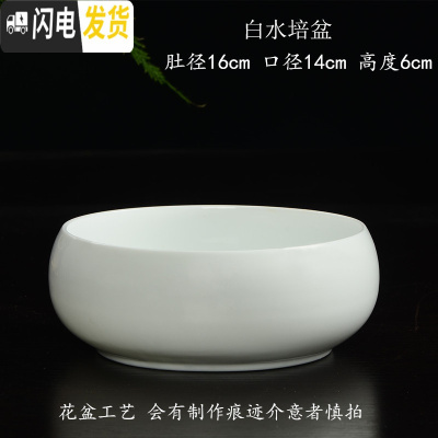 三维工匠铜钱花盆陶瓷水培碗莲一叶莲水仙花金钱专用无孔大号多肉 肚径16白水培盆 大花盆容器