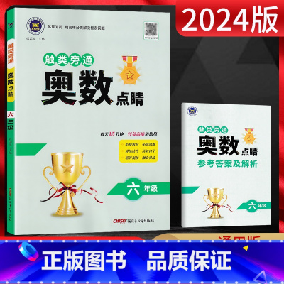 数学 小学六年级 [正版]2024版 触类旁通奥数点睛六年级数学练习册小学奥数解题方法大全六年级举一反三奥数六年级奥数思