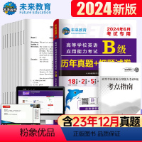 [正版]备考2024.6英语三级b级考试真题试卷 大学英语b级全国通用复习资料考试历年真题A级英语高等学校能力考试三级
