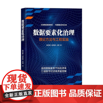数据要素化治理 陆志鹏等 著 计算机与互联网