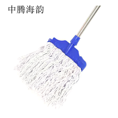 中腾海韵 蜡托 30cm 个