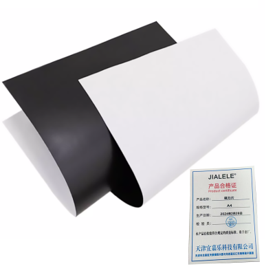 JIALELE 磁力片 A3 张