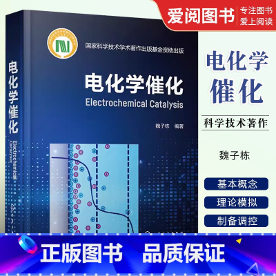 [正版]电化学催化 陈庆 电催化基础电催化过程教程 电催化剂理论设计理论模拟制备工艺技 电催化基础知识书籍