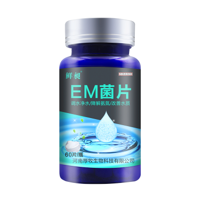 浓缩硝化菌片净化水质养鱼益生菌em菌鱼缸用品水族专用
