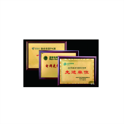 云腾领奖牌定制40厘米*60厘米