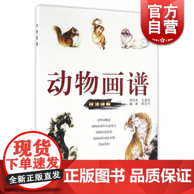 动物画谱-技法祥解 顾宝兴著/戈湘岚绘 马/虎/松鼠/猫/猴等画法 国画学习资料 上海人民美术出版社