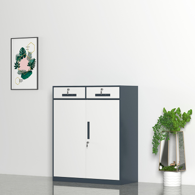 臻远文件柜办公柜钢制铁皮柜资料档案储物柜拆装窄边柜灰白色加厚款 二斗下节矮柜