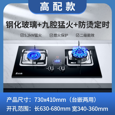 志高(CHIGO)煤气灶双灶燃气灶家用嵌入式天然气灶台式液化气灶猛火灶炉具_高配猛火九腔防烫定时_天然气(ejK)