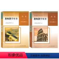 [正版] 2021新课改新版教师教学用书高中历史上册下册人教版全套共俩本中外历史纲要教参教案上册+下册人民教育出版社统
