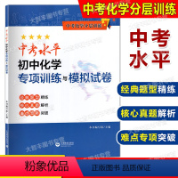 化学 九年级/初中三年级 [正版]中考化学分层训练 中考水平初中化学专项训练与模拟试卷 上海版配套 经典题型精练核心真题
