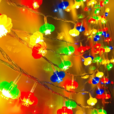 新年彩灯闪灯串灯中国结红灯笼元宵节日林下春雪小彩灯家用过年装饰灯