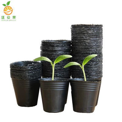 廷豪果 塑料育苗盆 一次性营养杯育苗盆 15×13cm 500个/箱