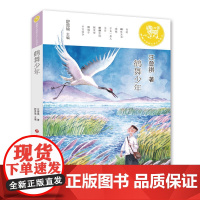 麒麟中国新文学少年读本·鹤舞少年