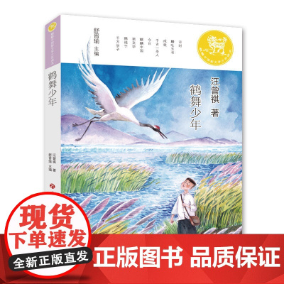 麒麟中国新文学少年读本·鹤舞少年