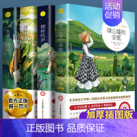 [全套4册]绿山墙的安妮+柳林风声+绿野仙踪+木偶奇遇记 [正版]柳林风声书 原版小学生课外阅读书籍三四五六年级阅读经典