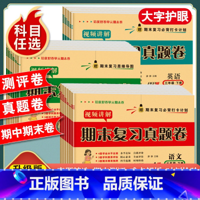 [6本套/人教版]语数英试卷+语数英计算默写小达人 六年级上 [正版]一年级二年级三年级四五六年级上册下册试卷测试卷全套