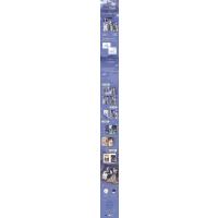 清河月圆何予安