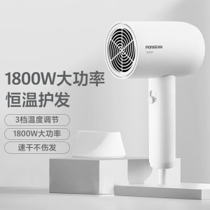 博锐电吹风机家用大功率吹风筒恒温护发小巧便捷三档冷热风电吹风 简白PH1621