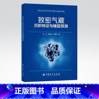 [正版]致密气藏沉积特征与储层预测 可供从事油气勘探与开发的科研人员参考使用,也可供从事相关专业的高等院校师生参阅
