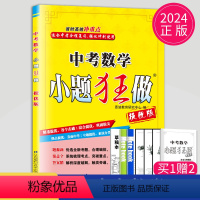 [正版]2024版恩波教育中考数学小题狂做提优版初三中考数学总复习专题突破9年级滚动强化提优练习册辅导书答案解析小题狂