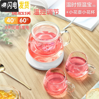 三维工匠耐热玻璃杯茶壶煮泡茶壶过滤茶具大小家用花茶杯玻璃壶套装 小花壶(配2个小花杯)温时恒温宝白