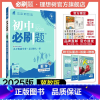 数学 JJ 九年级下 [正版]理想树2025版初中必刷题九年级下册数学冀教版JJ初三必刷题同步练习中考复习资料模拟题辅导