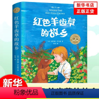 [正版]红色羊齿草的故乡 爱心树童书6-9-12岁少儿童成长励志课外故事书 儿童文学短篇小说青少年动物小说 凤凰书店