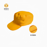 雅霖服 线路防护帽YLF-SJ25062010 顶