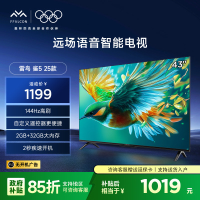 雷鸟雀5 25款43英寸4K超高清智能网络WiFi 2+32GB 语音液晶平板电视机43F295C