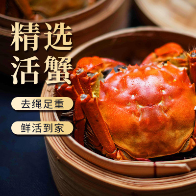 [活蟹]大闸蟹螃蟹3.5两公2.5两母10只装中秋礼盒 精品活蟹河蟹鲜活直发