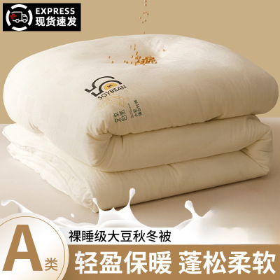 大豆纤维被子春秋被芯夏凉被空调被可机洗棉被单双人夏被四季通用