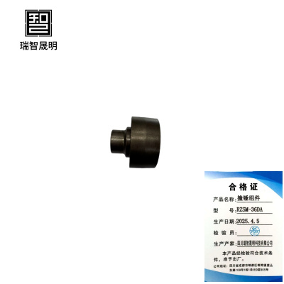 瑞智晟明(RZSM)撞锤组件RZSM-36DA