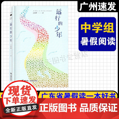 2025年广东省暑假读一本好书初中七八九年级适读 远行的少年王欣婷/著 接力出版社 我的白鸽遇到四叶草女孩孟子 中学生课
