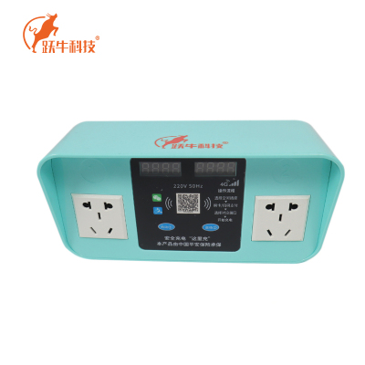 跃牛科技 智能电瓶车自行车充电桩 Y-N026A 2路挂式直充(含安装) 套