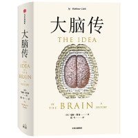 音像大脑传(英)马修·科布
