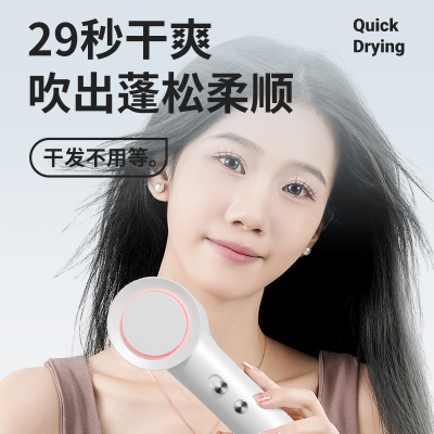 荣事达电吹风RC-DZ260