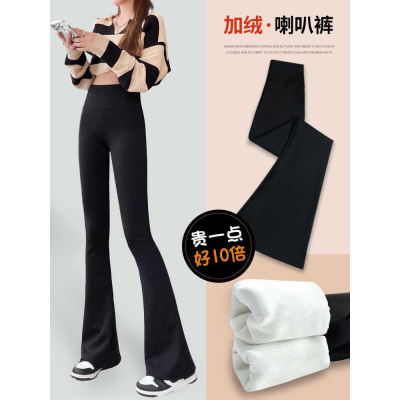 加绒微喇鲨鱼裤女外穿秋冬季加厚棉裤高腰提臀瑜伽大码喇叭打底裤