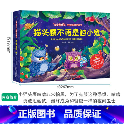 猫头鹰不再是胆小鬼 [正版]生命是什么小手翻翻立体书儿童3D立体书不一样的青蛙和蟾蜍绘本2-3-6岁以上宝宝启蒙认知动物