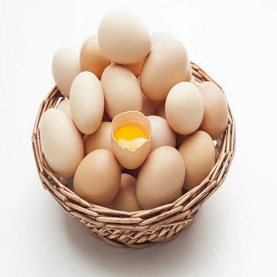[破损1枚赔3枚]15年品牌,附绿色食品检测报告,苏北农家散养土鸡蛋 60枚 精品礼盒装
