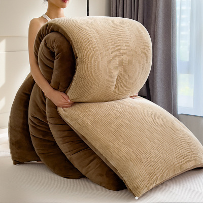 牛奶绒被子被芯冬被秋冬款棉被加厚保暖学生宿舍单人双人暖冬被褥