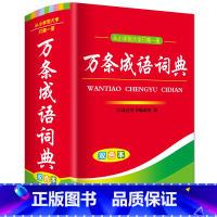[正版]9787553910840从小学到大学只需一册 万条成语词典 双色本 字词语辞书编研组 湖南教育出版社