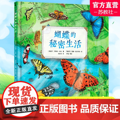 蝴蝶的秘密生活 人文科普科学自然知识教育 儿童读物童书绘本 精装全彩大开本 译林出版社