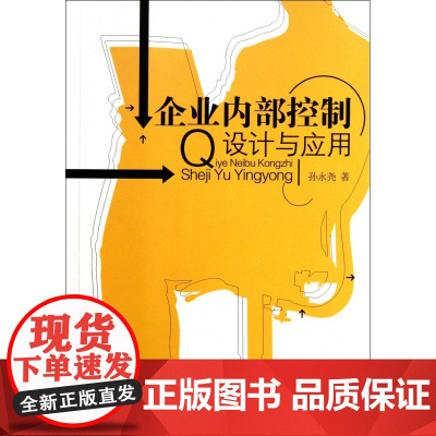 企业内部控制设计与应用