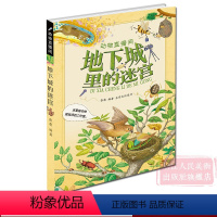 [正版]动物直播间:地下城里的迷宫(这里是动物建筑师的工作室) 6-15岁小学生课外阅读少儿读物科普儿童文学励志教育